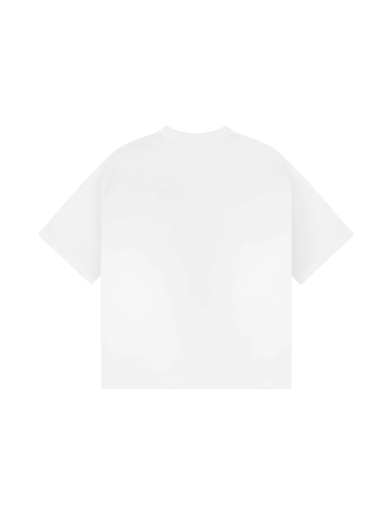 ФУТБОЛКА | ELIOR FOREST — изображение 2